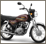 R15
