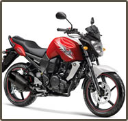 FZS